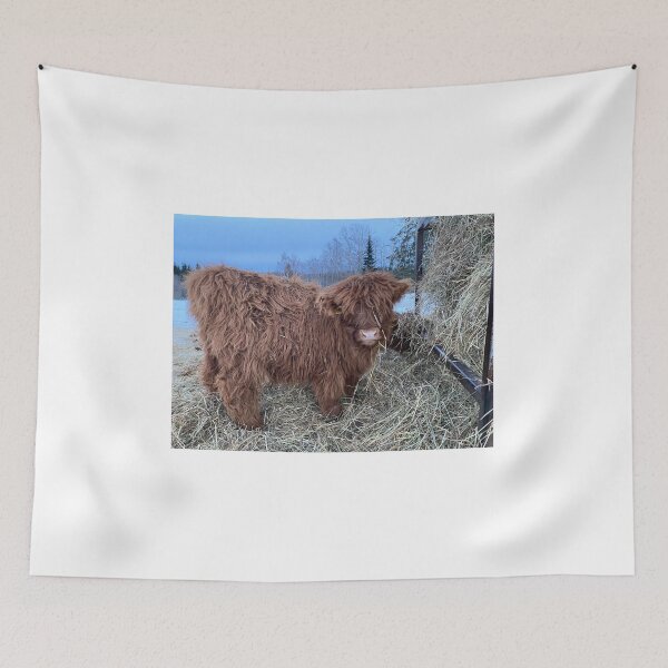 Item preview, Scottish Highland Cattle Calf 4243 designed and sold by SaarelaHighland.