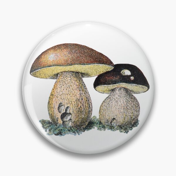 Item preview, Vintage style drawing of bolete mushrooms ready to pluck designed and sold by ETconnections.