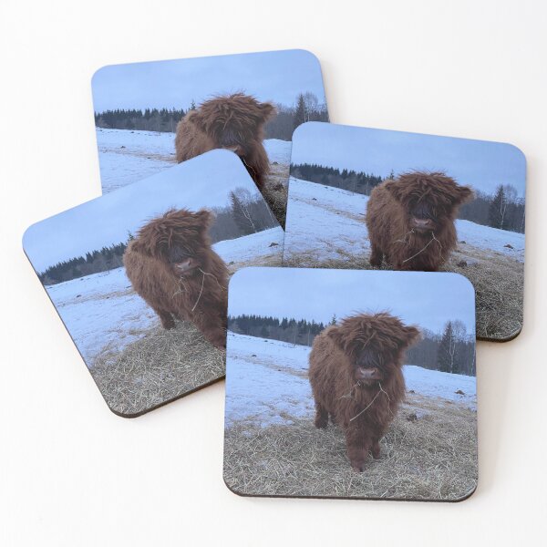 Item preview, Scottish Highland Cattle Calf 4244 designed and sold by SaarelaHighland.