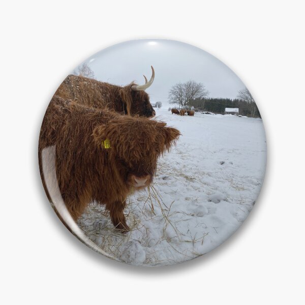 Item preview, Scottish Highland Cattle Calf 4248 designed and sold by SaarelaHighland.