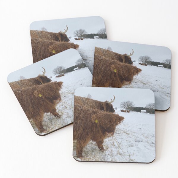 Item preview, Scottish Highland Cattle Calf 4248 designed and sold by SaarelaHighland.