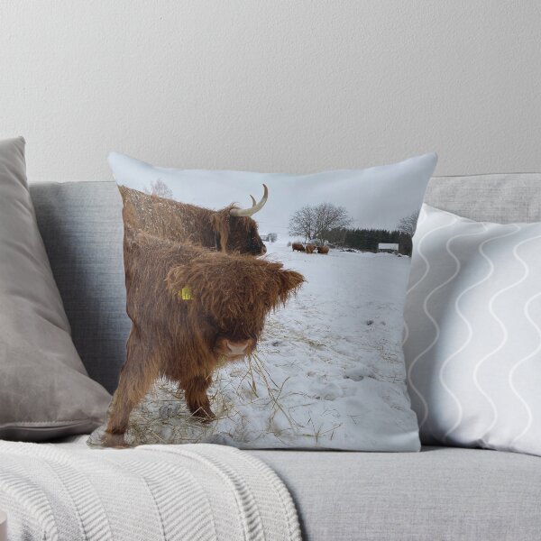 Item preview, Scottish Highland Cattle Calf 4248 designed and sold by SaarelaHighland.