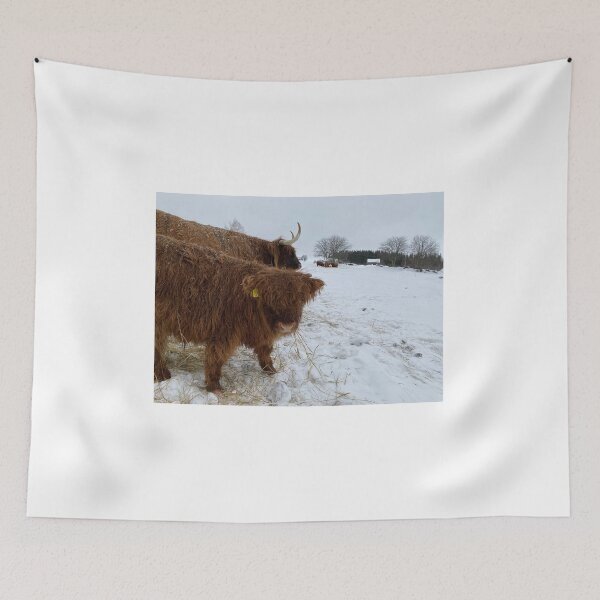 Item preview, Scottish Highland Cattle Calf 4248 designed and sold by SaarelaHighland.