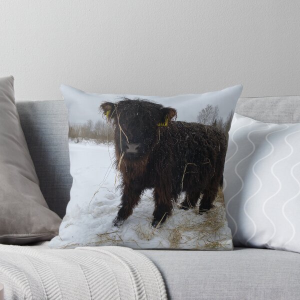 Item preview, Scottish Highland Cattle Calf 4249 designed and sold by SaarelaHighland.
