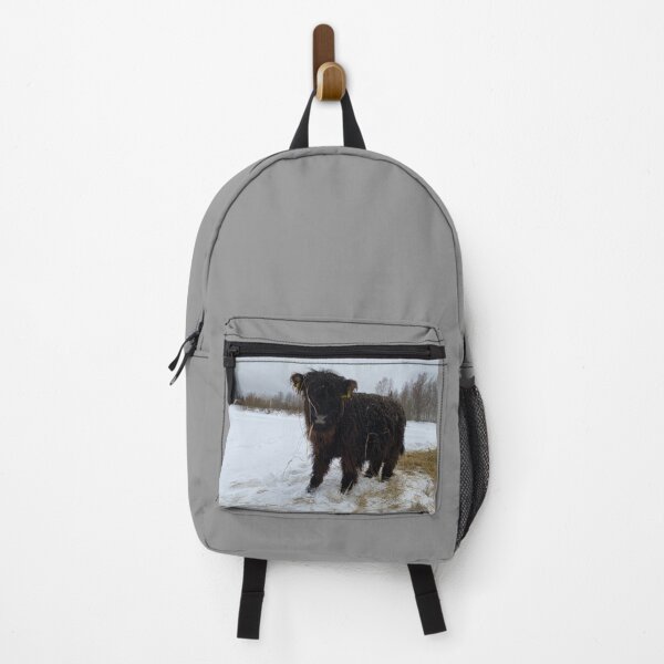 Item preview, Scottish Highland Cattle Calf 4249 designed and sold by SaarelaHighland.