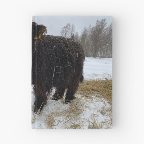 Item preview, Scottish Highland Cattle Calf 4249 designed and sold by SaarelaHighland.