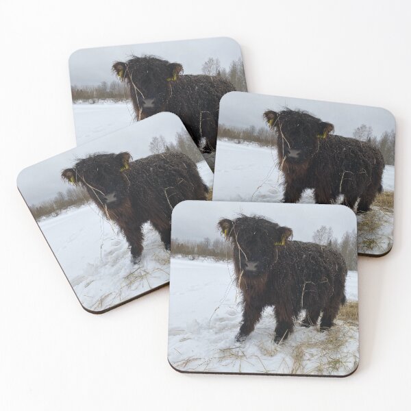 Item preview, Scottish Highland Cattle Calf 4249 designed and sold by SaarelaHighland.