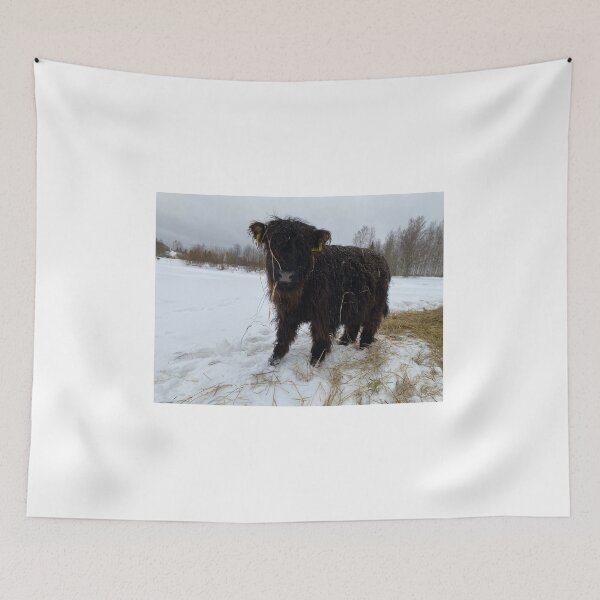 Item preview, Scottish Highland Cattle Calf 4249 designed and sold by SaarelaHighland.