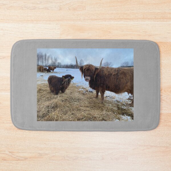 Item preview, Scottish Highland Cattle Cow and calf 4251 designed and sold by SaarelaHighland.