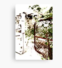 Morialta Barns 4 Canvas Print
