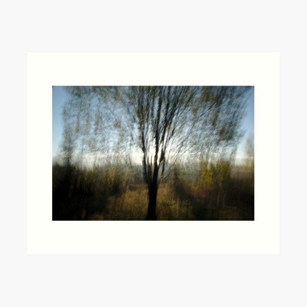 Underwater tree Art Print