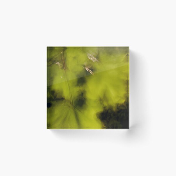 Green Maples leafes Acrylic Block