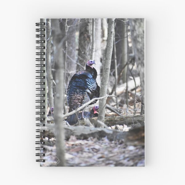 Item preview, Backyard Turkeys designed and sold by Becky Laine.
