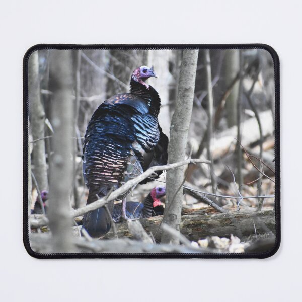 Item preview, Backyard Turkeys designed and sold by Becky Laine.