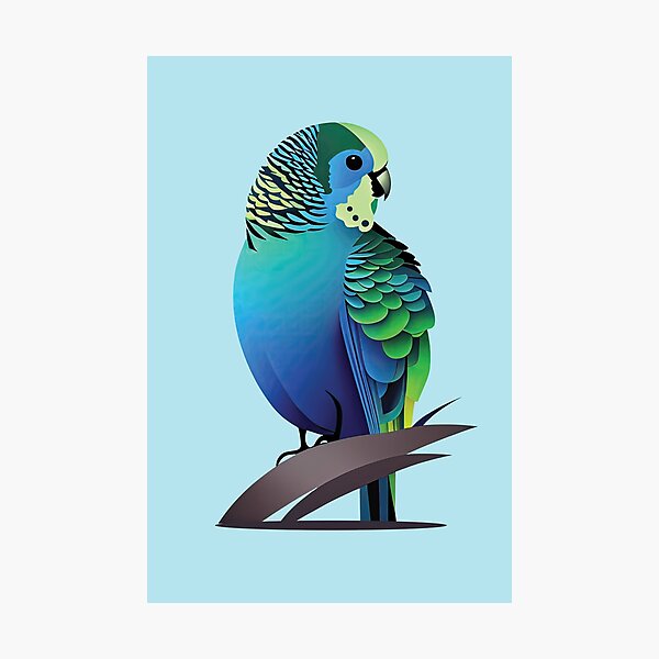 Item preview, Pudgy Budgie designed and sold by PearBird.
