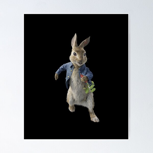 Peter Rabbit Posters for Sale