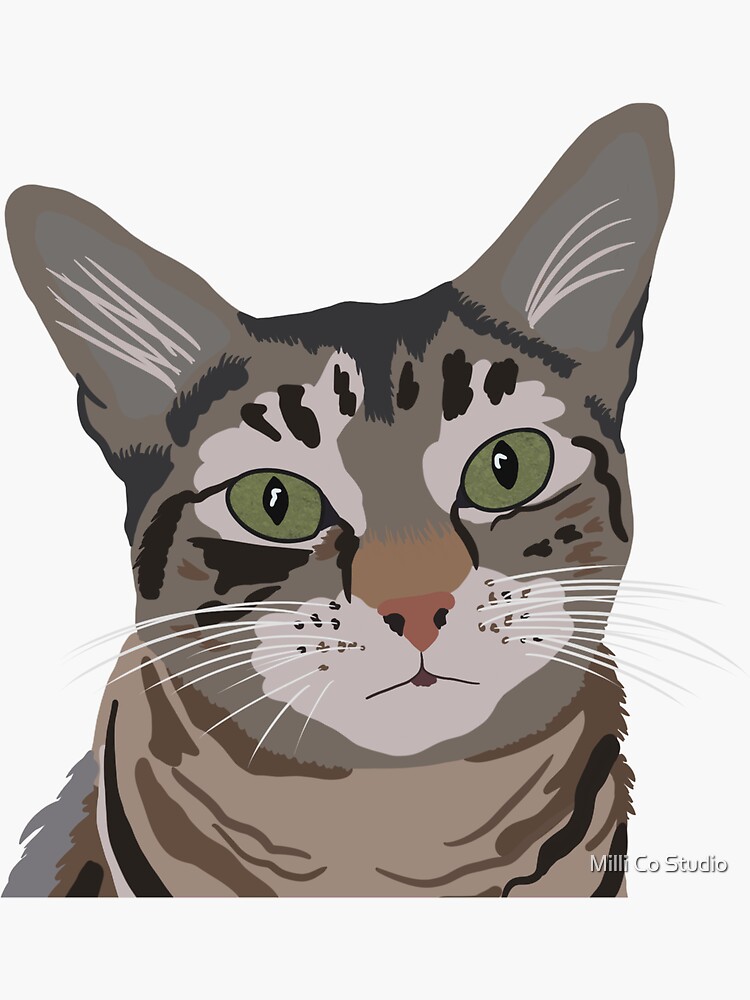 Gray Tabby Kitty Sticker for Sale by redledger