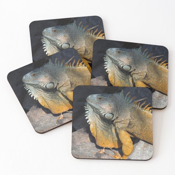 Item preview, Iguana designed and sold by Alla Gill.