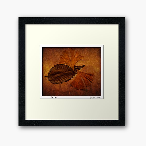 Framed Art Print