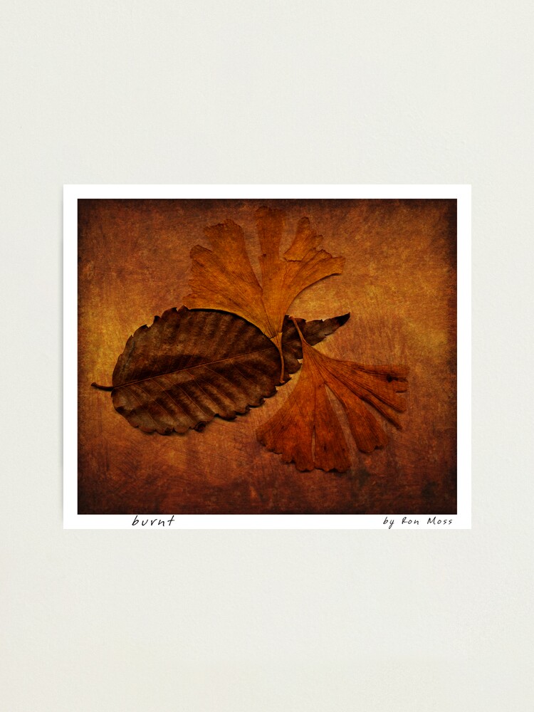 Alternate view of b u r n t Photographic Print