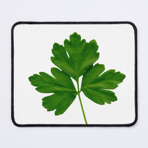 Item preview, Italian Parsley Leaf designed and sold by Betty Mackey.