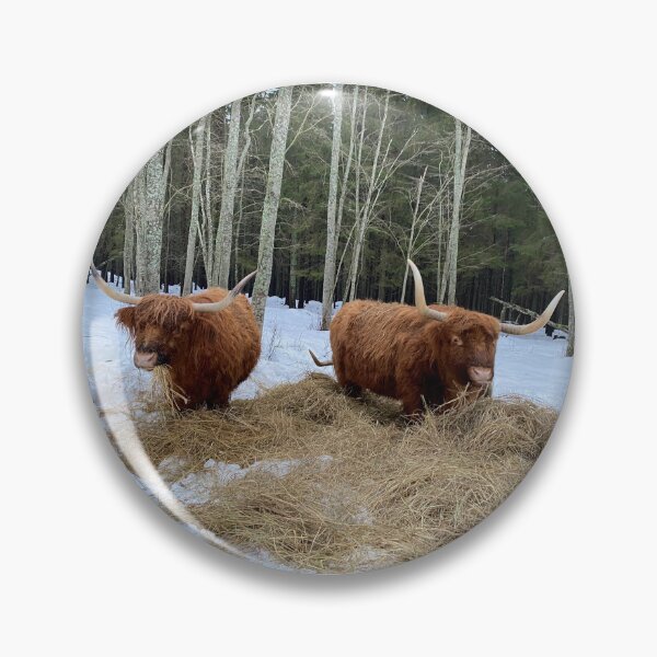 Item preview, Scottish Highland Cattle Cows 4252 designed and sold by SaarelaHighland.