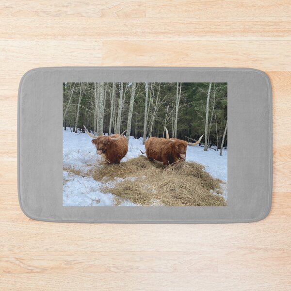 Item preview, Scottish Highland Cattle Cows 4252 designed and sold by SaarelaHighland.