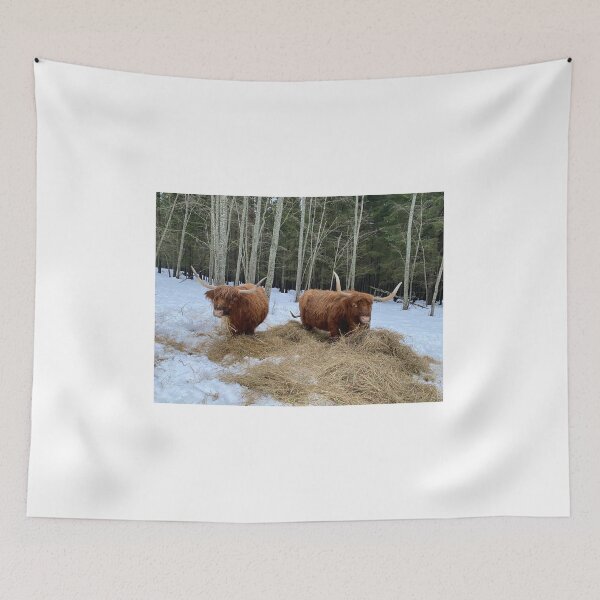 Item preview, Scottish Highland Cattle Cows 4252 designed and sold by SaarelaHighland.