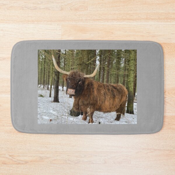 Item preview, Scottish Highland Cattle Cow 4255 designed and sold by SaarelaHighland.