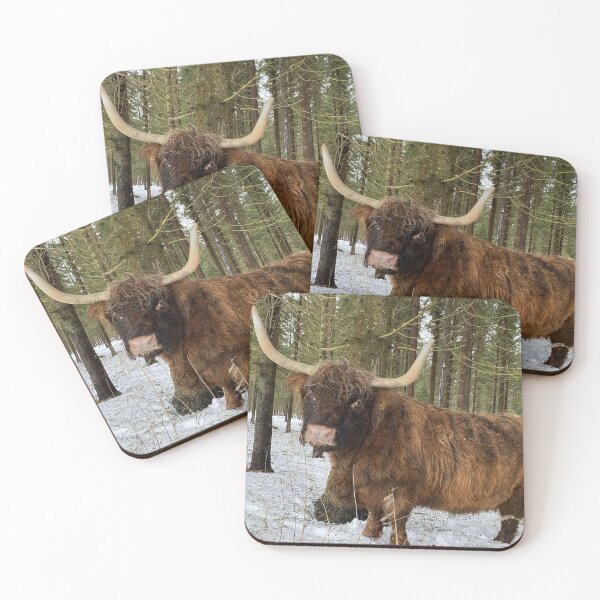 Item preview, Scottish Highland Cattle Cow 4255 designed and sold by SaarelaHighland.
