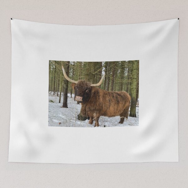 Item preview, Scottish Highland Cattle Cow 4255 designed and sold by SaarelaHighland.