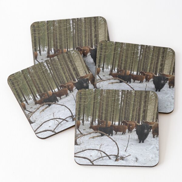 Item preview, Scottish Highland Cattle Cows 4256 designed and sold by SaarelaHighland.