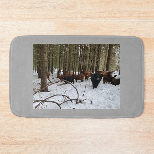 Item preview, Scottish Highland Cattle Cows 4256 designed and sold by SaarelaHighland.