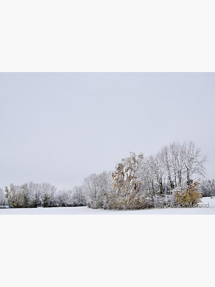 A white day after the snow by patmo