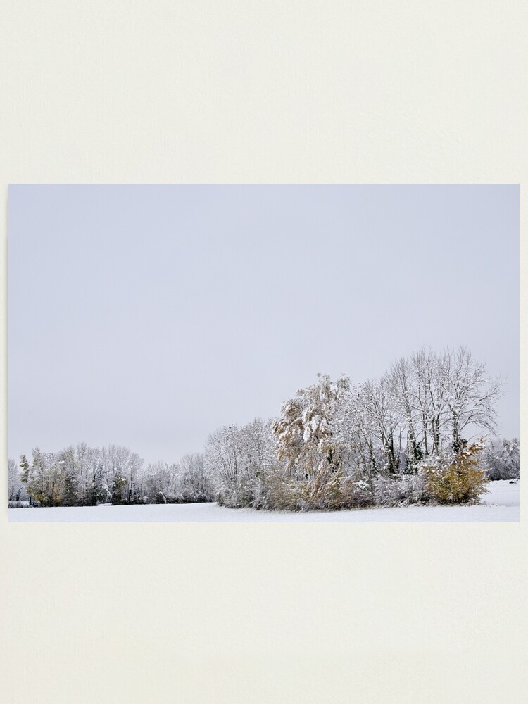 Alternate view of A white day after the snow Photographic Print