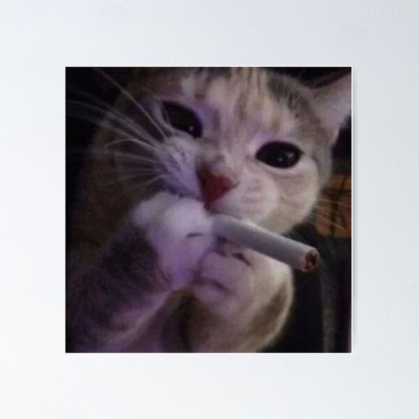 Item preview, smoking cat funny sticker  designed and sold by sersidom.