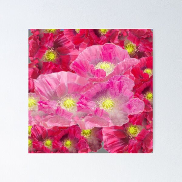 Artikelvorschau, PINK-ROT FUCHSIA GARTENMOHNMUSTER ART entworfen und verkauft von sharlesart.