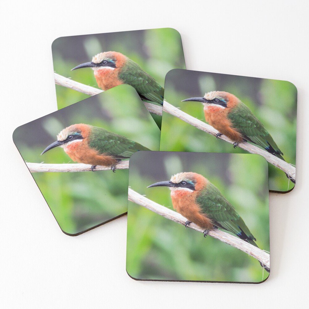 Item preview, Coasters (Set of 4) designed and sold by algill.