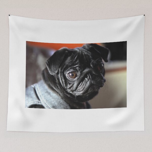 Item preview, Pug designed and sold by Falko-Follert.