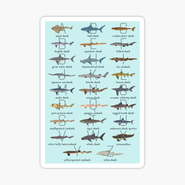 "Shark Alphabet" Sticker For Sale By Babybigfoot | Redbubble