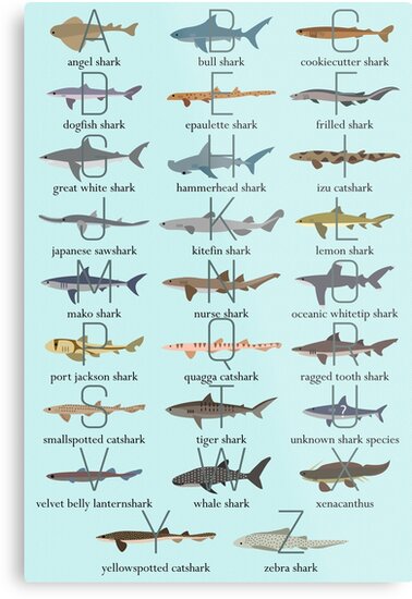 shark alphabet metal print by babybigfoot redbubble