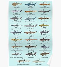 Hai-Alphabet Poster