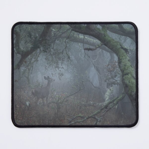 Item preview, Majestic creatures at Avila Beach designed and sold by David McCombs.