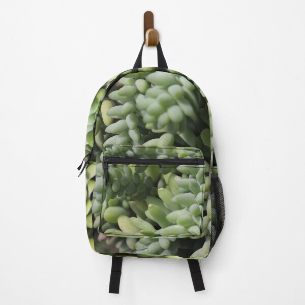 Item preview, Cute Green Succulents designed and sold by Reynareyna.