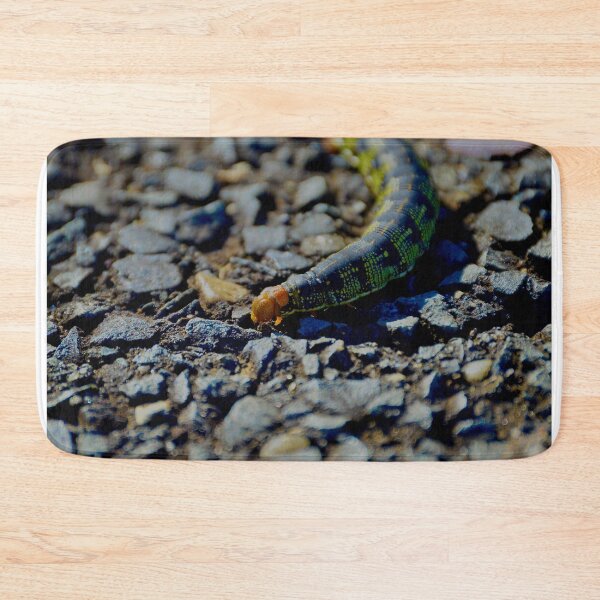 Item preview, White-Lined Sphinx Moth Caterpillar designed and sold by Tessia Photography.