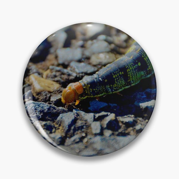 Item preview, White-Lined Sphinx Moth Caterpillar designed and sold by Tessia Photography.