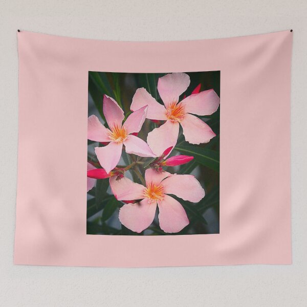 Item preview, Nerium (Oleander) designed and sold by angel1.