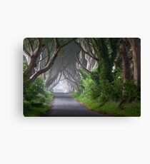 The Dark Hedges / Game of Thrones / Co Antrim / Northern Ireland Canvas Print
