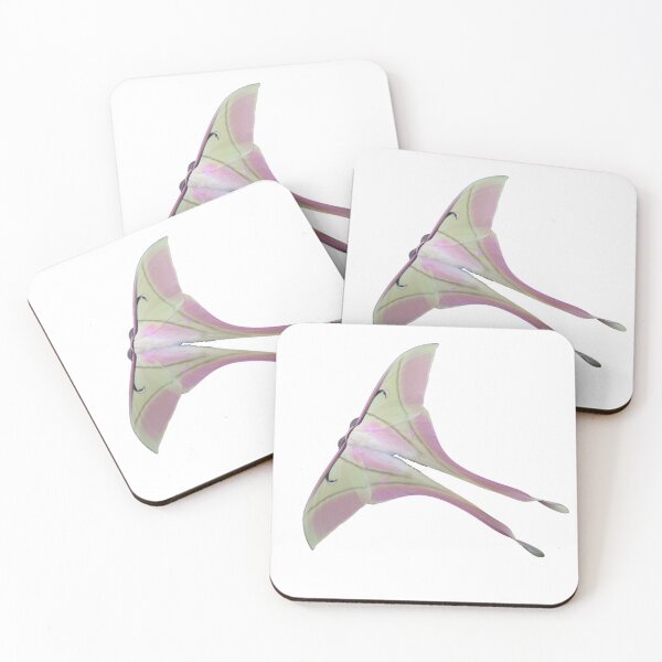 Item preview, Pink Spirit Moth / Actias rhodopneuma designed and sold by Entomologist.