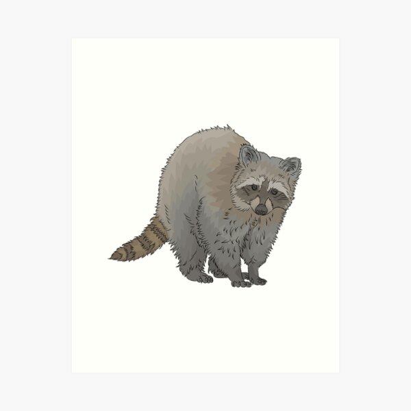 Item preview, savage racoon designed and sold by Mengarda.